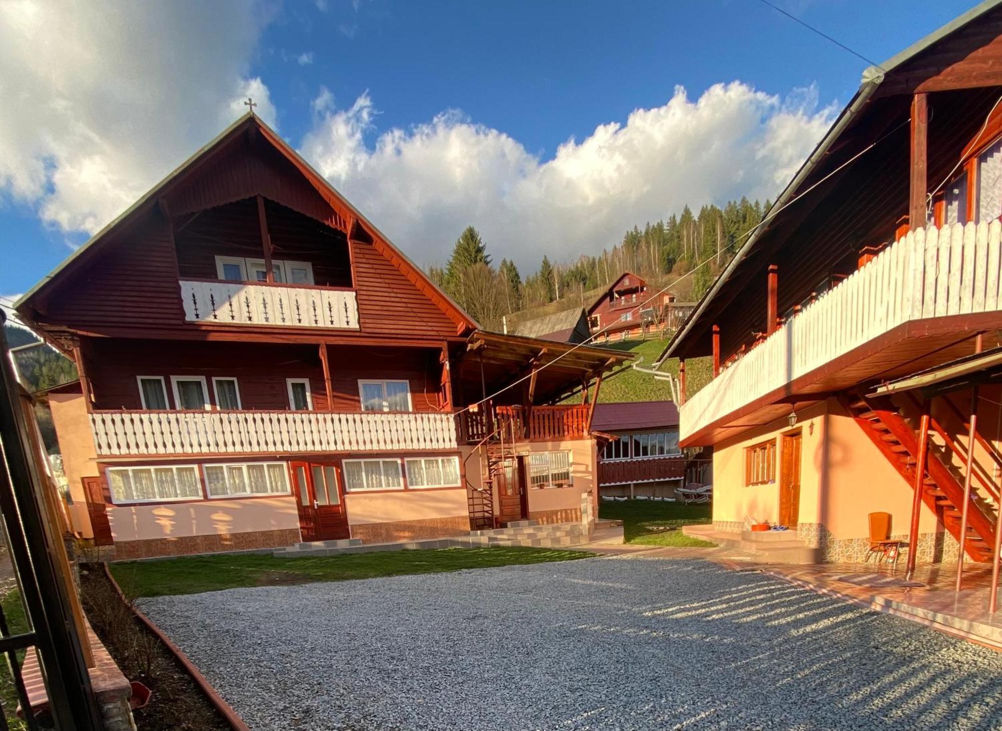 Pensiunea Daiana Albac Exteriör bild