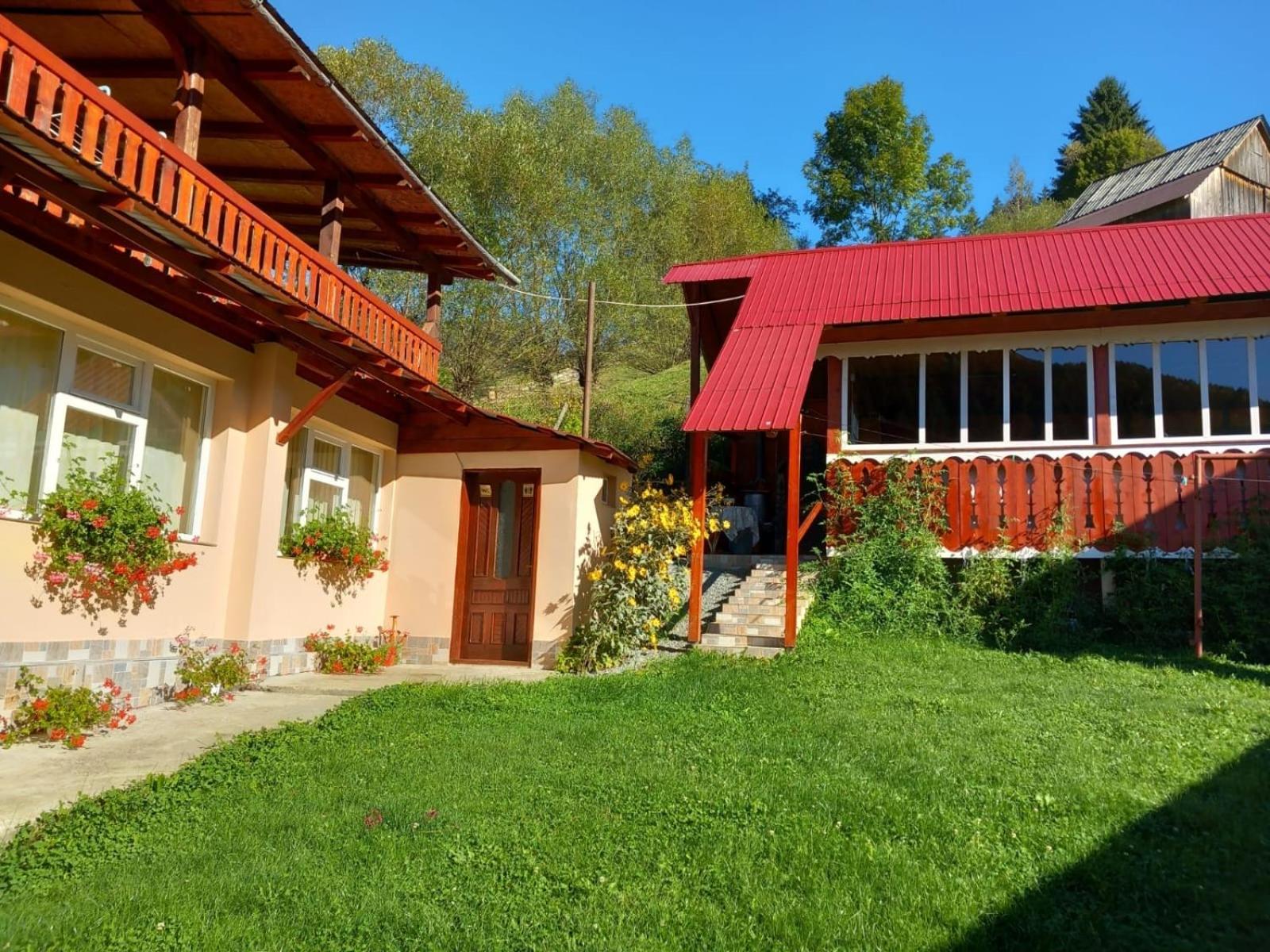 Pensiunea Daiana Albac Exteriör bild