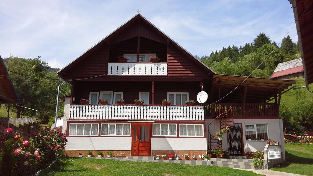 Pensiunea Daiana Albac Exteriör bild